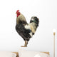 Brahma Rooster Wall Decal