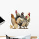 Group Hens Roosters and Wall Decal