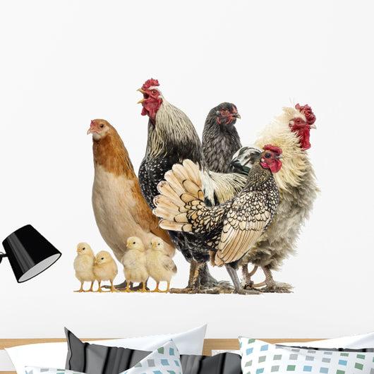 Group Hens Roosters and Wall Decal