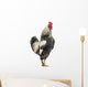 Side Brahma Rooster White Wall Decal