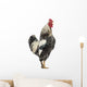 Side Brahma Rooster White Wall Decal