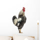 Side Brahma Rooster White Wall Decal