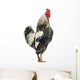 Side Brahma Rooster White Wall Decal