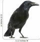Carrion Crow White Wall Decal