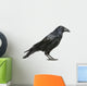 Carrion Crow Wall Decal