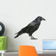 Carrion Crow Wall Decal