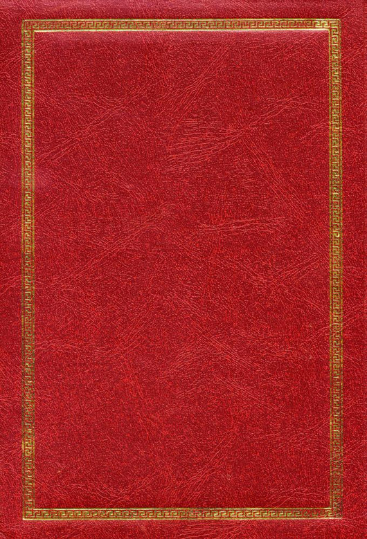 Old Red Leather Texture Wall Decal