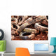 Environmental Hazard Wall Decal