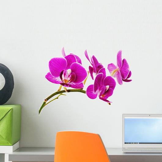 Very Rare Purple Orchid Wall Decal