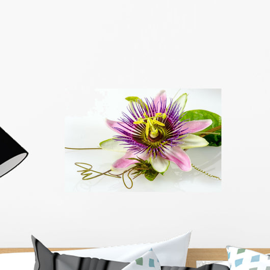 Passionsblume Ganz Nah Passiflora Wall Decal