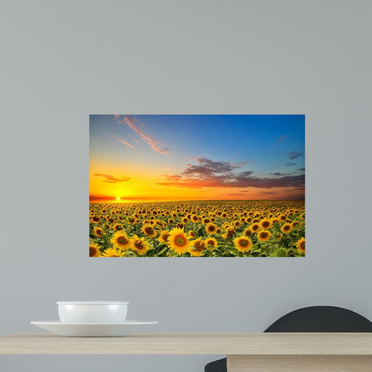 Sunflowers Wall Decal Design 1