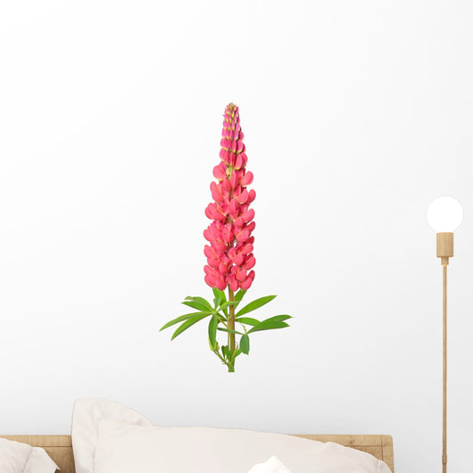 Lupinus Flower Wall Decal