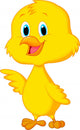 Cute Baby Chicken Wall Decal