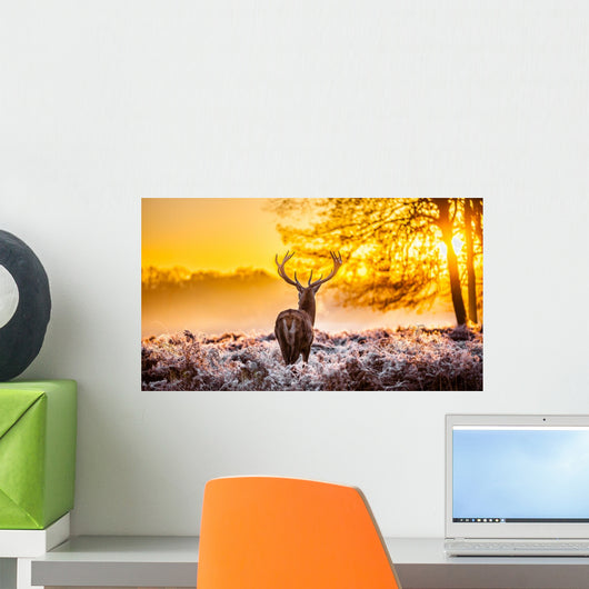 Red Deer Morning Sun Wall Decal