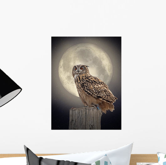 Owl Moonlight Wall Decal
