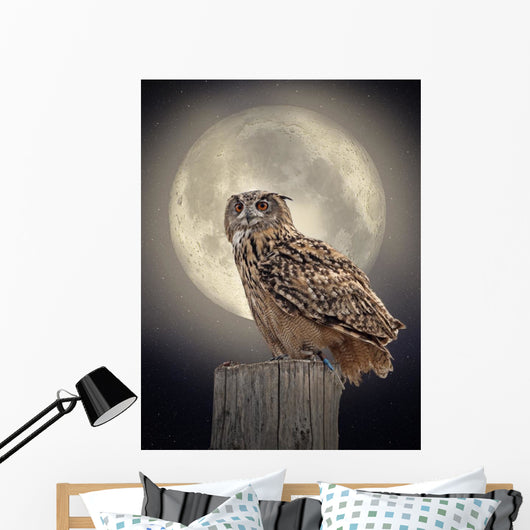 Owl Moonlight Wall Decal