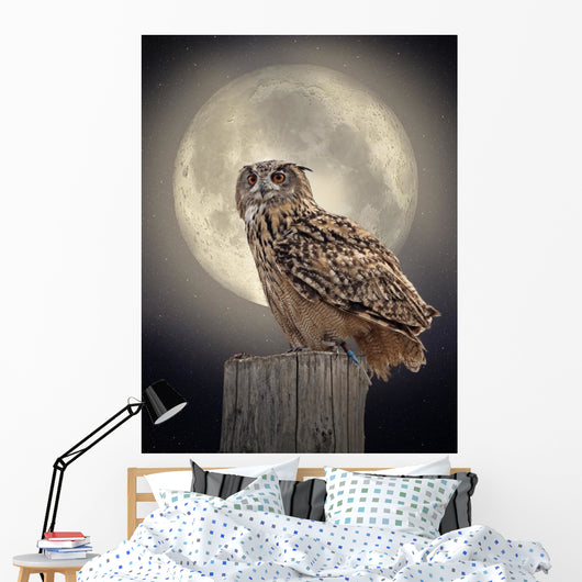 Owl Moonlight Wall Decal