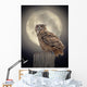 Owl Moonlight Wall Decal