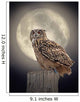 Owl Moonlight Wall Decal