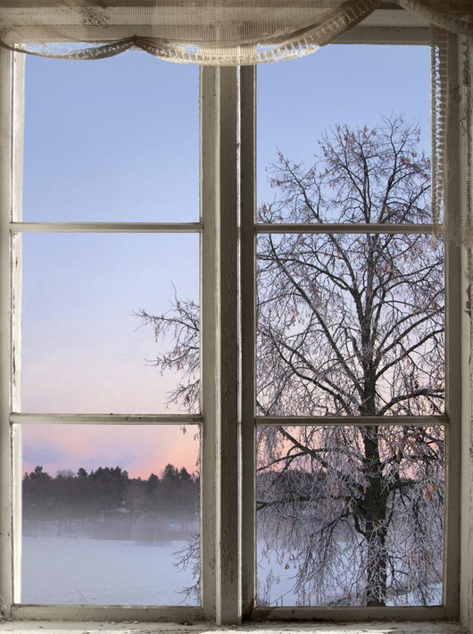 Winter Sunset Viewed through Wall Decal