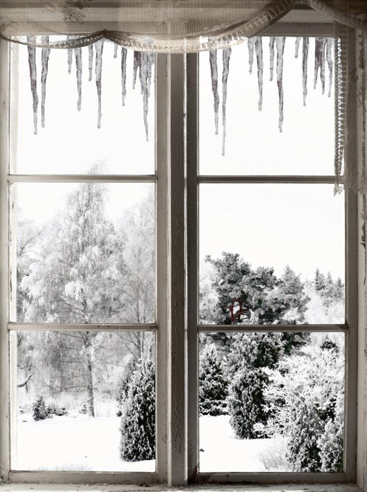 Winter Landscape Viewed through Wall Decal
