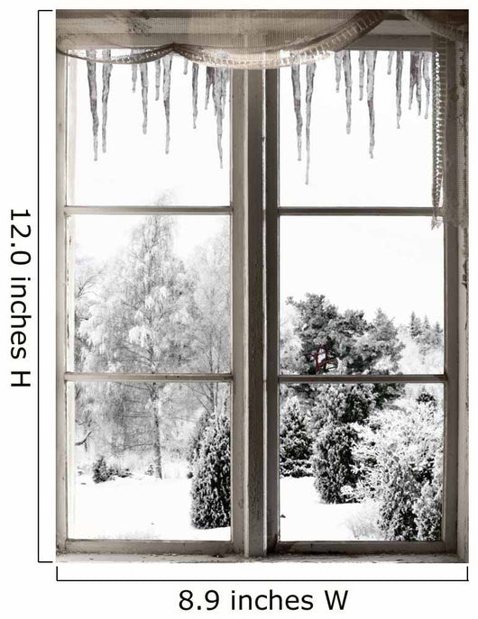 Winter Landscape Viewed through Wall Decal