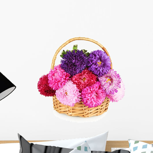 Bright aster flowers in basket, isolated on white
