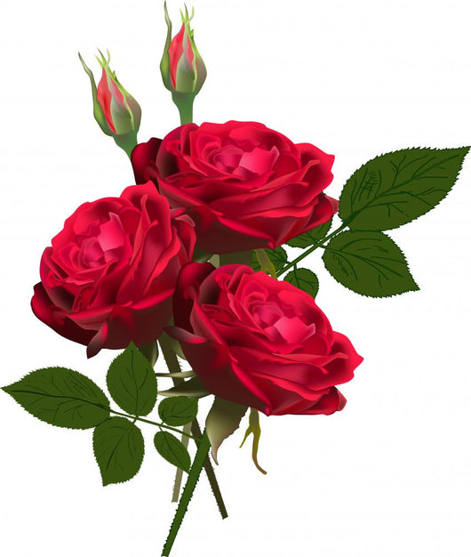 Three Red Roses Wall Decal