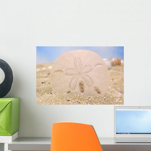 Sand Dollar on Sand Wall Mural