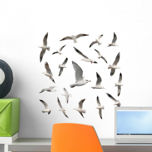 Seabirds Seagull Bird Wall Stickers