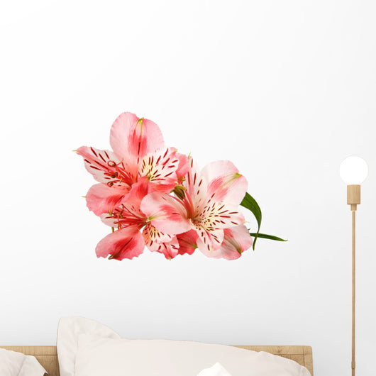 pink lily flower Wall Decal
