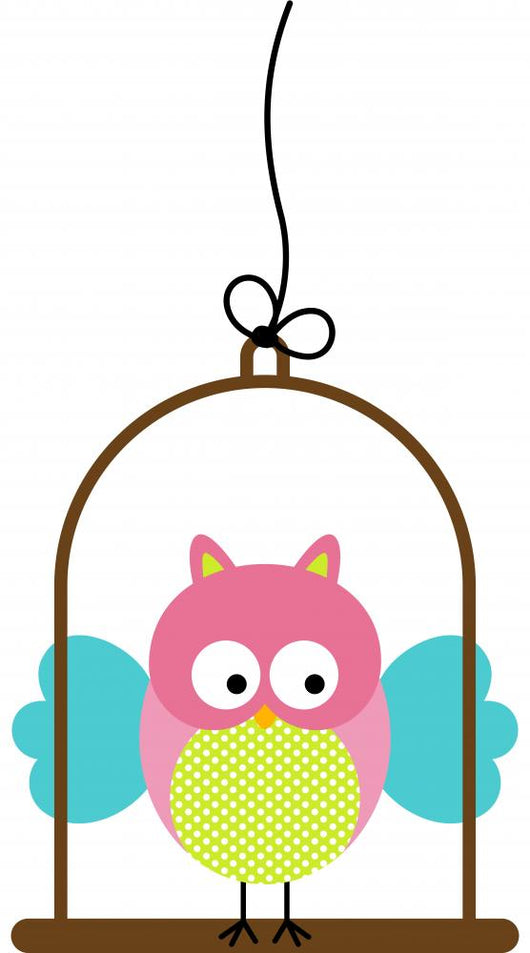 Little Owl in Bird Cage