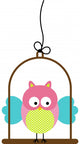 Little Owl in Bird Cage