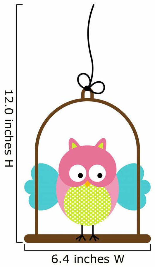 Little Owl in Bird Cage