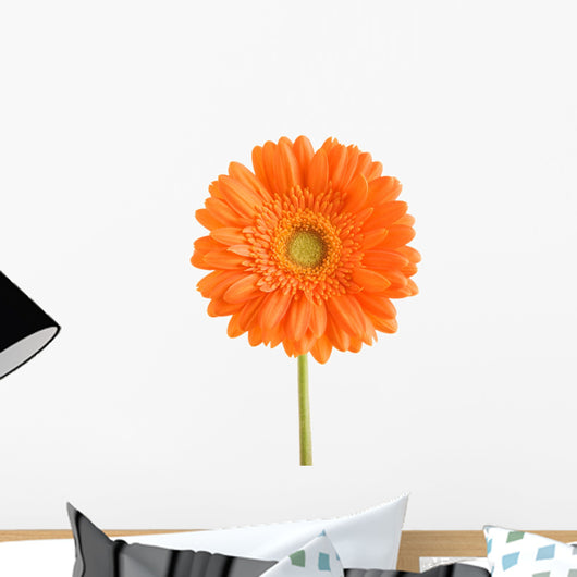 orange flower Wall Decal