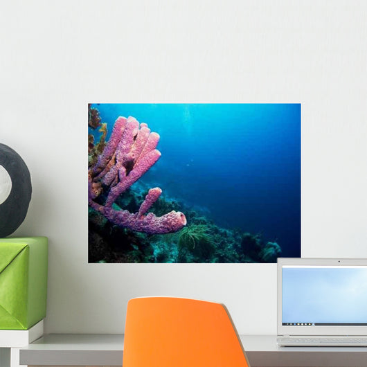 Purple Tube Sponges Caribbean Wall Decal Design 2