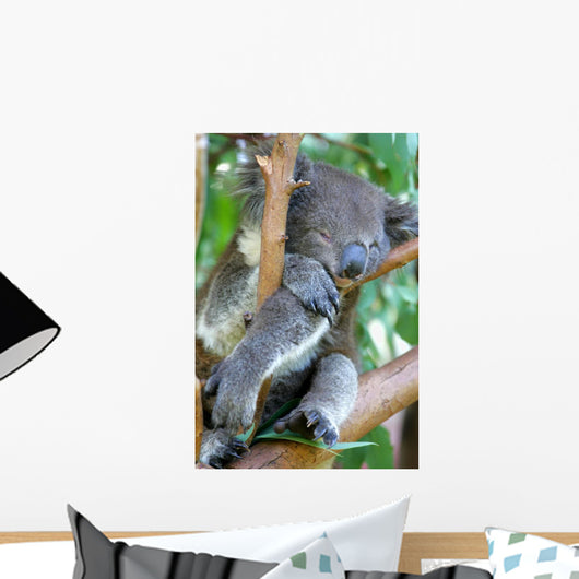 Koala Bear Wall Mural