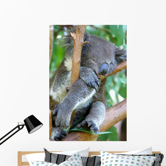 Koala Bear Wall Mural