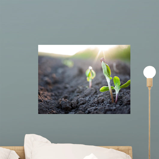 Green Plants