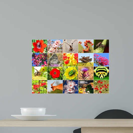Biodiversity Wall Mural