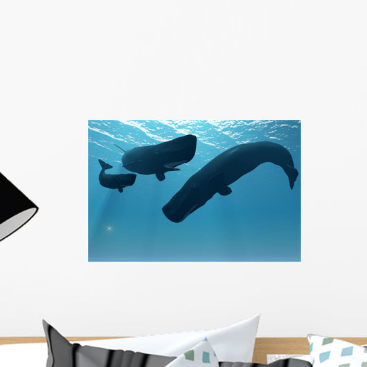 Sperm Whale Encounter