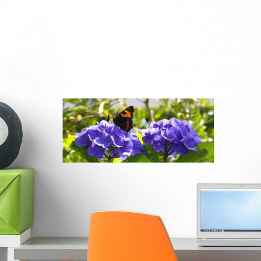 Purple Hortensia flowers and butterfly. Wall Mural
