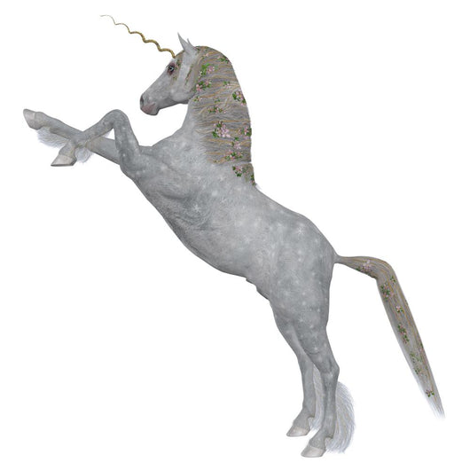 Magical Unicorn Wall Decal