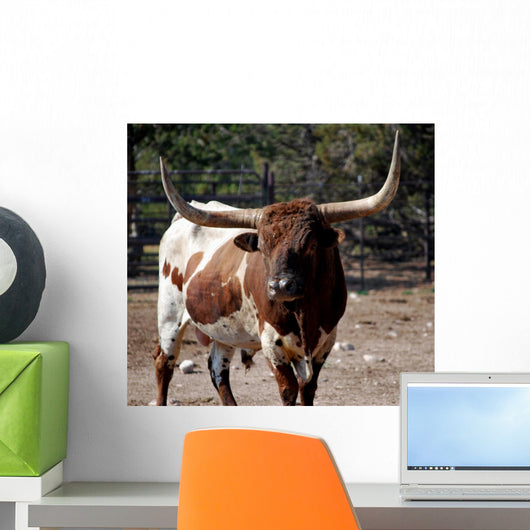 Bull With Attitude Wall Mural