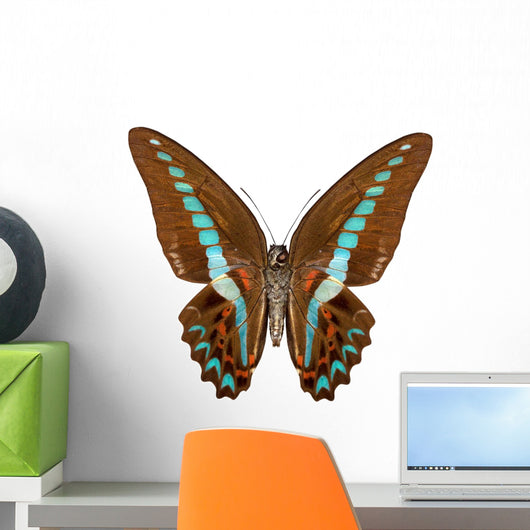 beautiful butterfly isolated on white Wall Decal