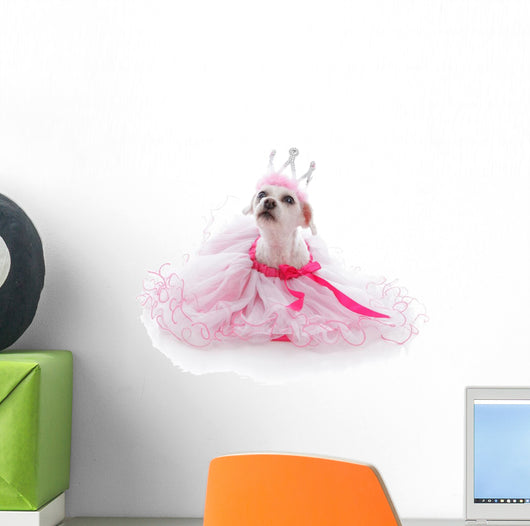 Pampered Princess or Ballerina pet