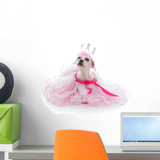 Pampered Princess or Ballerina pet