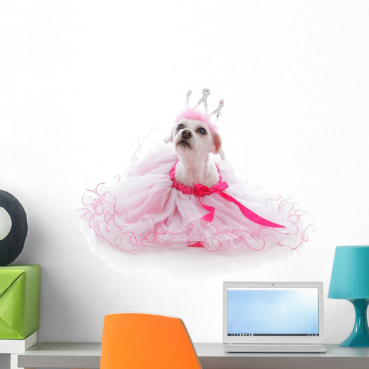 Pampered Princess or Ballerina pet