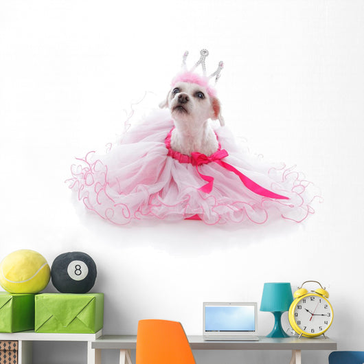 Pampered Princess or Ballerina pet