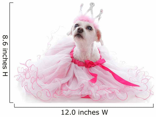 Pampered Princess or Ballerina pet